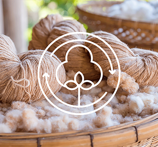 Eco Friendly Fabrics